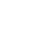 Team Vitality logo